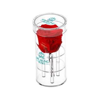 Acrisse One - Happy Valentine's Day - Valentine's Day Collection