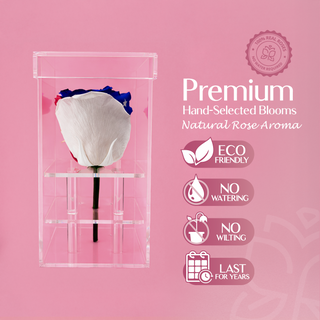 Luxara Uno  - America 250 Design - Personalized Rose - 100% Real (Preserved-Eternal)