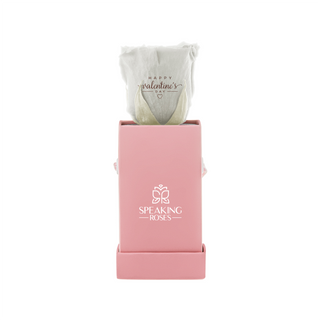 Sovelle XXS  - Happy Valentine's Day - Valentine's Day Collection