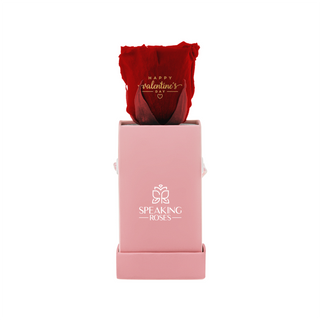 Sovelle XXS  - Happy Valentine's Day - Valentine's Day Collection