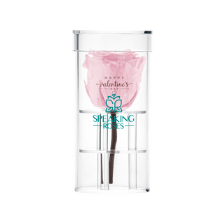 Acrisse One - Happy Valentine's Day - Valentine's Day Collection