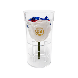 Acrisse One  - America 250 Design - Personalized Rose - 100% Real (Preserved-Eternal)