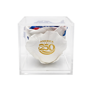Equoria - America 250 Design- Personalized Rose - 100% Real (Preserved-Eternal)