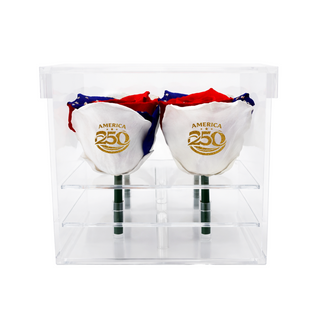 Luxara cua - America 250 Design- 4 Personalized Roses - 100% Real (Preserved-Eternal)