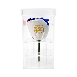 Luxara Uno  - America 250 Design - Personalized Rose - 100% Real (Preserved-Eternal)