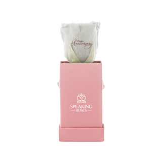 Sovelle XXS – Happy Aniversary - Personalized Rose - 100% Real (Preserved-Eternal)