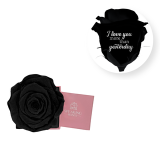 I love you more than yesterday - Square Paper Box  (1 Preserved Head)