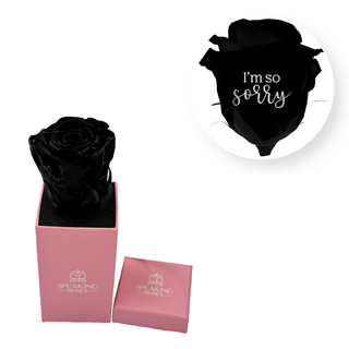 I´m so sorry - Square Paper Box  (1 Preserved Head)