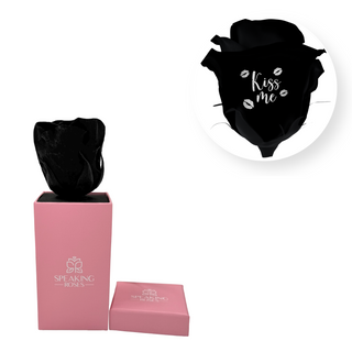 Kiss me - Square Paper Box  (1 Preserved Head)