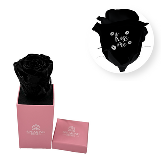 Kiss me - Square Paper Box  (1 Preserved Head)