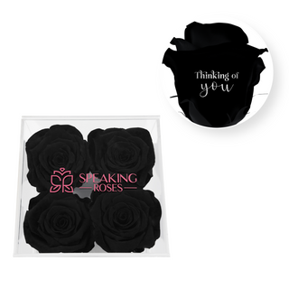 Thinking of you - Square Acrylic Box  (4 Preserved Heads)