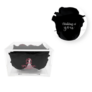 Thinking of you - Square Acrylic Box  (4 Preserved Heads)