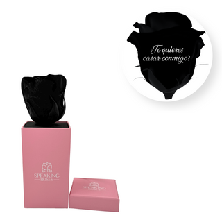 ¿Te quieres casar conmigo? - Square Paper Box  (1 Preserved Head)