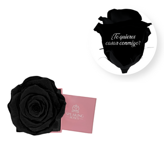¿Te quieres casar conmigo? - Square Paper Box  (1 Preserved Head)