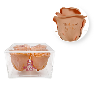 Thinking of you - Square Acrylic Box  (4 Preserved Heads)