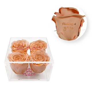 Thinking of you - Square Acrylic Box  (4 Preserved Heads)