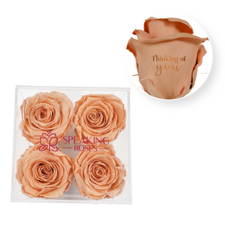 Thinking of you - Square Acrylic Box  (4 Preserved Heads)