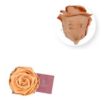 Will you marry me? - Square Paper Box  (1 Preserved Head)