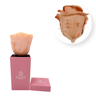 Will you marry me? - Square Paper Box  (1 Preserved Head)