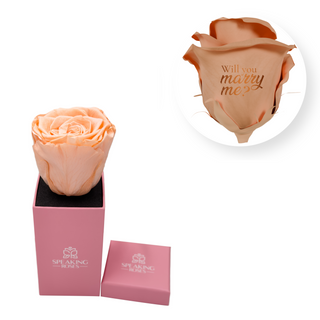 Will you marry me? - Square Paper Box  (1 Preserved Head)