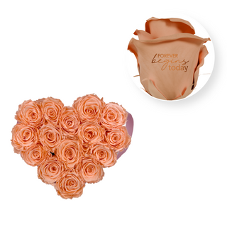 Forever begins today - Heart Paper Box (15 Preserved Heads)