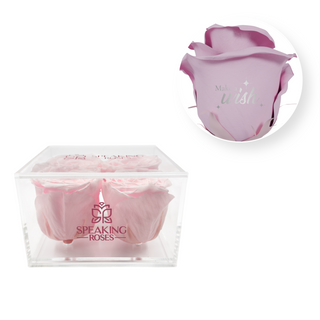 Make a wish - Square Acrylic Box  (4 Preserved Heads)