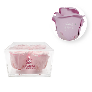 Thinking of you - Square Acrylic Box  (4 Preserved Heads)