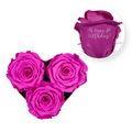 Personalize Your Message - Heart Paper Box (3 Life-Lasting Rose Heads)