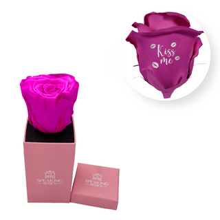 Kiss me - Square Paper Box  (1 Preserved Head)