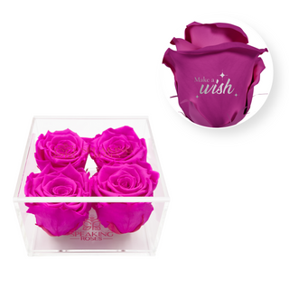 Make a wish - Square Acrylic Box  (4 Preserved Heads)