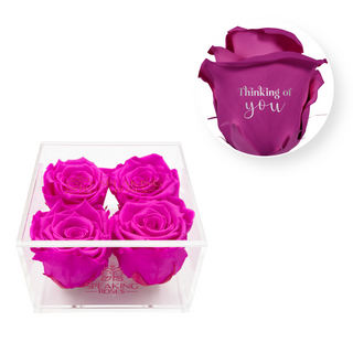 Thinking of you - Square Acrylic Box  (4 Preserved Heads)