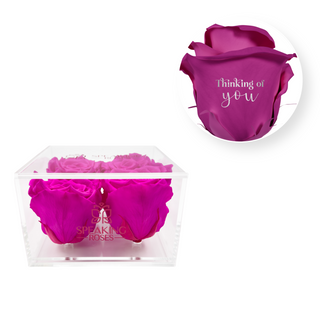 Thinking of you - Square Acrylic Box  (4 Preserved Heads)