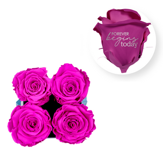 Forever begins today - Square Paper Box  (4 Preserved Head)