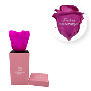 ¿Te quieres casar conmigo? - Square Paper Box  (1 Preserved Head)