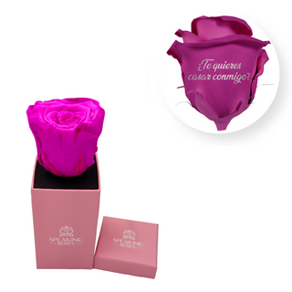 ¿Te quieres casar conmigo? - Square Paper Box  (1 Preserved Head)