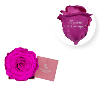 ¿Te quieres casar conmigo? - Square Paper Box  (1 Preserved Head)