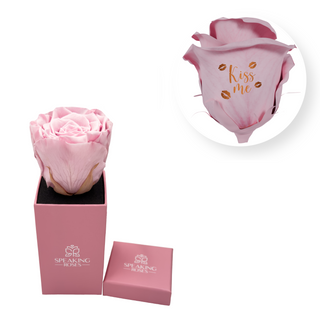 Kiss me - Square Paper Box  (1 Preserved Head)