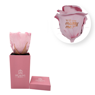 Will you marry me? - Square Paper Box  (1 Preserved Head)