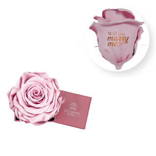 Will you marry me? - Square Paper Box  (1 Preserved Head)