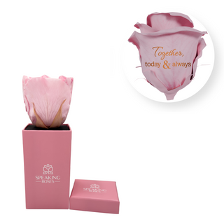 Together, today & always - Square Paper Box  (1 Preserved Head)