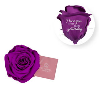 I love you more than yesterday - Square Paper Box  (1 Preserved Head)