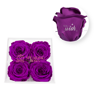 Make a wish - Square Acrylic Box  (4 Preserved Heads)