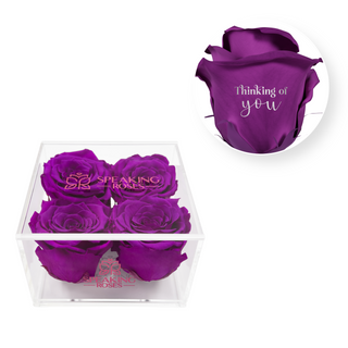 Thinking of you - Square Acrylic Box  (4 Preserved Heads)