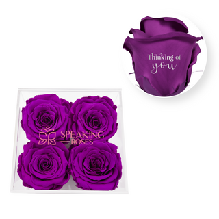 Thinking of you - Square Acrylic Box  (4 Preserved Heads)
