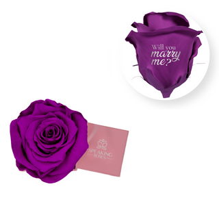 Will you marry me? - Square Paper Box  (1 Preserved Head)