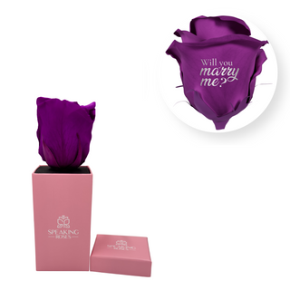 Will you marry me? - Square Paper Box  (1 Preserved Head)