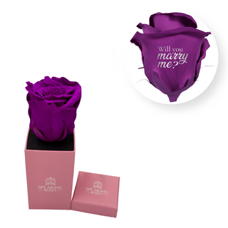 Will you marry me? - Square Paper Box  (1 Preserved Head)