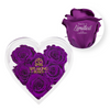 PURPLE-02