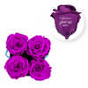 PURPLE-02