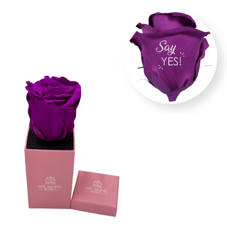 Say yes - Square Paper Box  (1 Preserved Head)